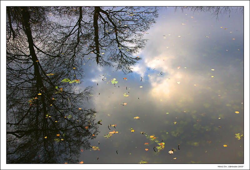 Reflection