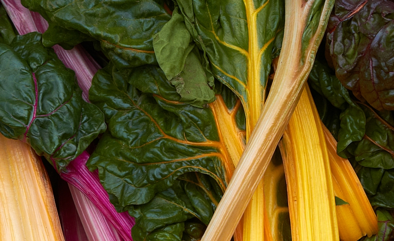 Art from the Veggie Patch