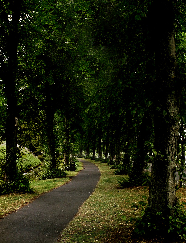 Wherever the Road May Lead