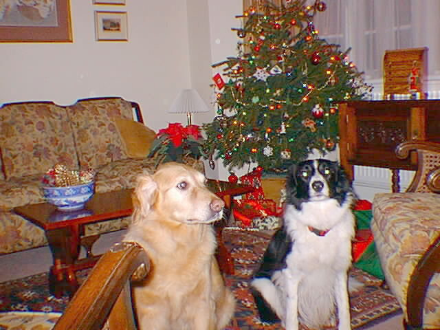 1997 - Epson PhotoPC 500 -one third of a  megapixel