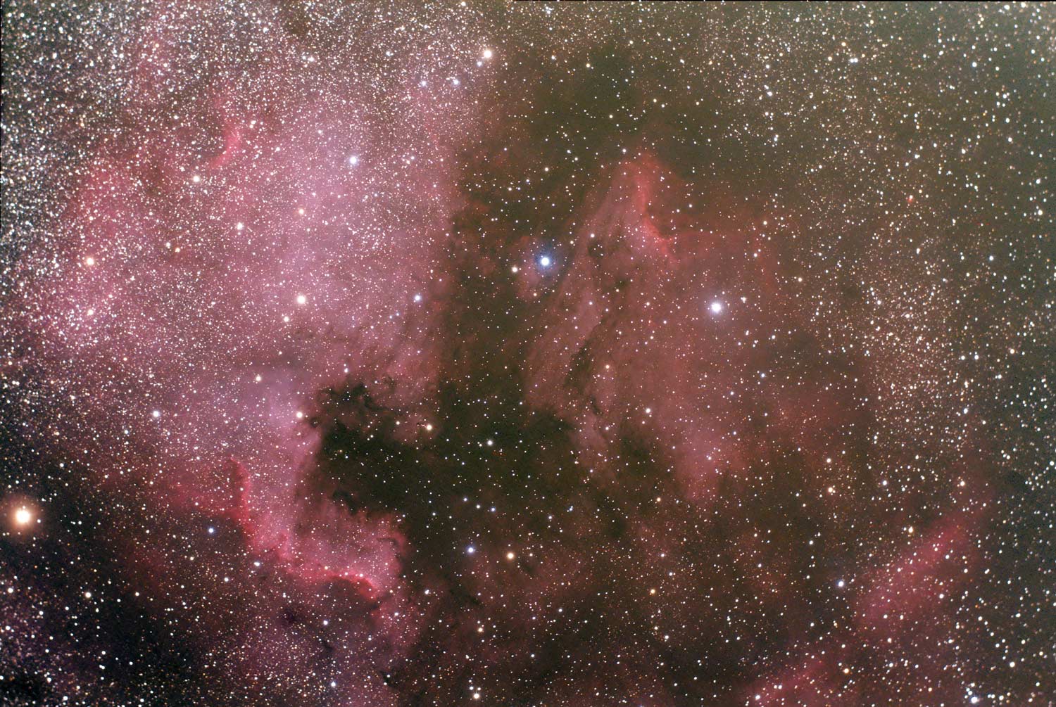 North American and Pelican Widefield Image