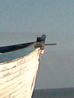 o3/44/648244/1/88070137.0dcO9FL9.LastMonth429.jpg