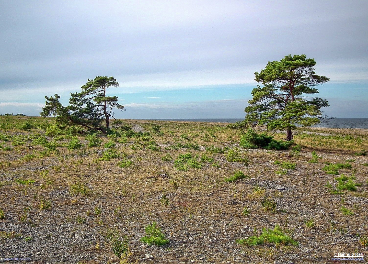 DSCF2658 Vindpinat.jpg