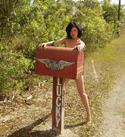 Mailbox 069 Photograph by Lucky Cole