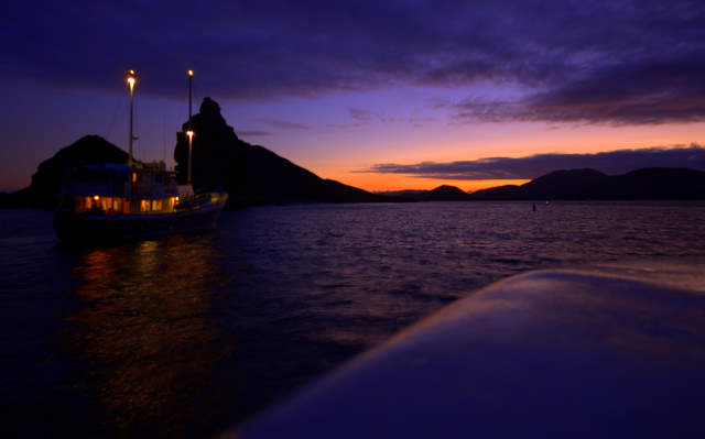 Harbor Sunset