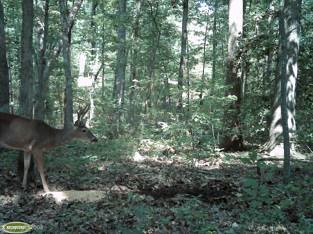 PICT0104.jpg