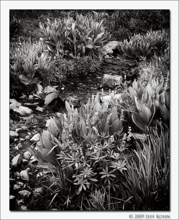 Creek, Virginia Lakes Basin