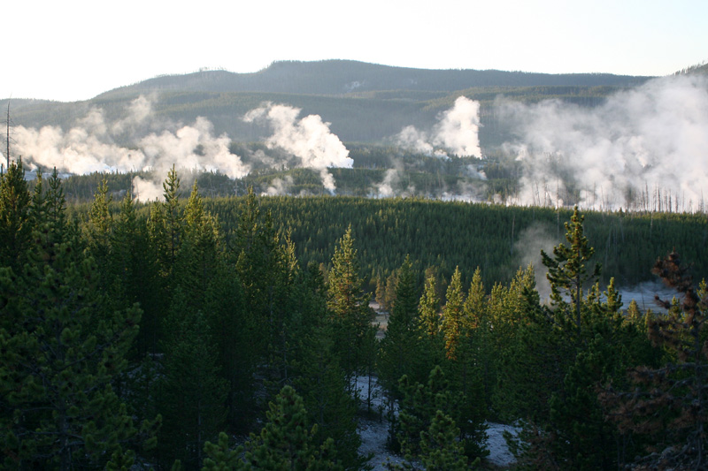 Norris Geyser Basin