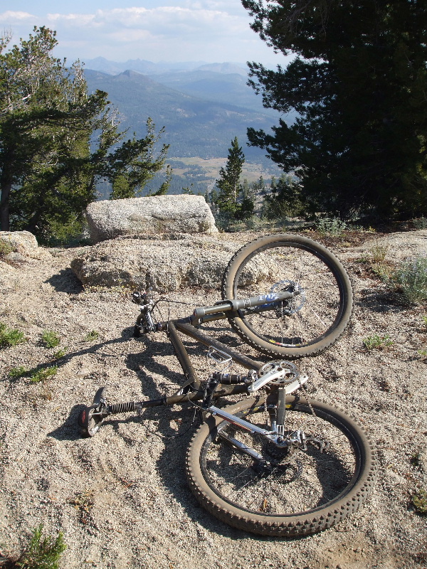 Toads via Armstrong Pass