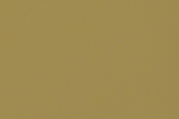d3x-detailunfocused.jpg