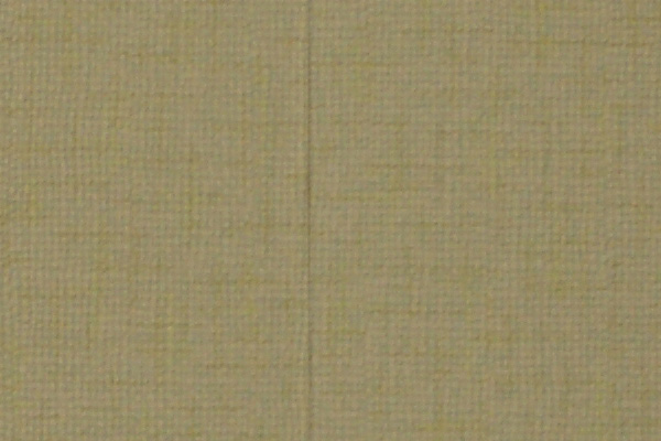 a900-focused-detail.jpg