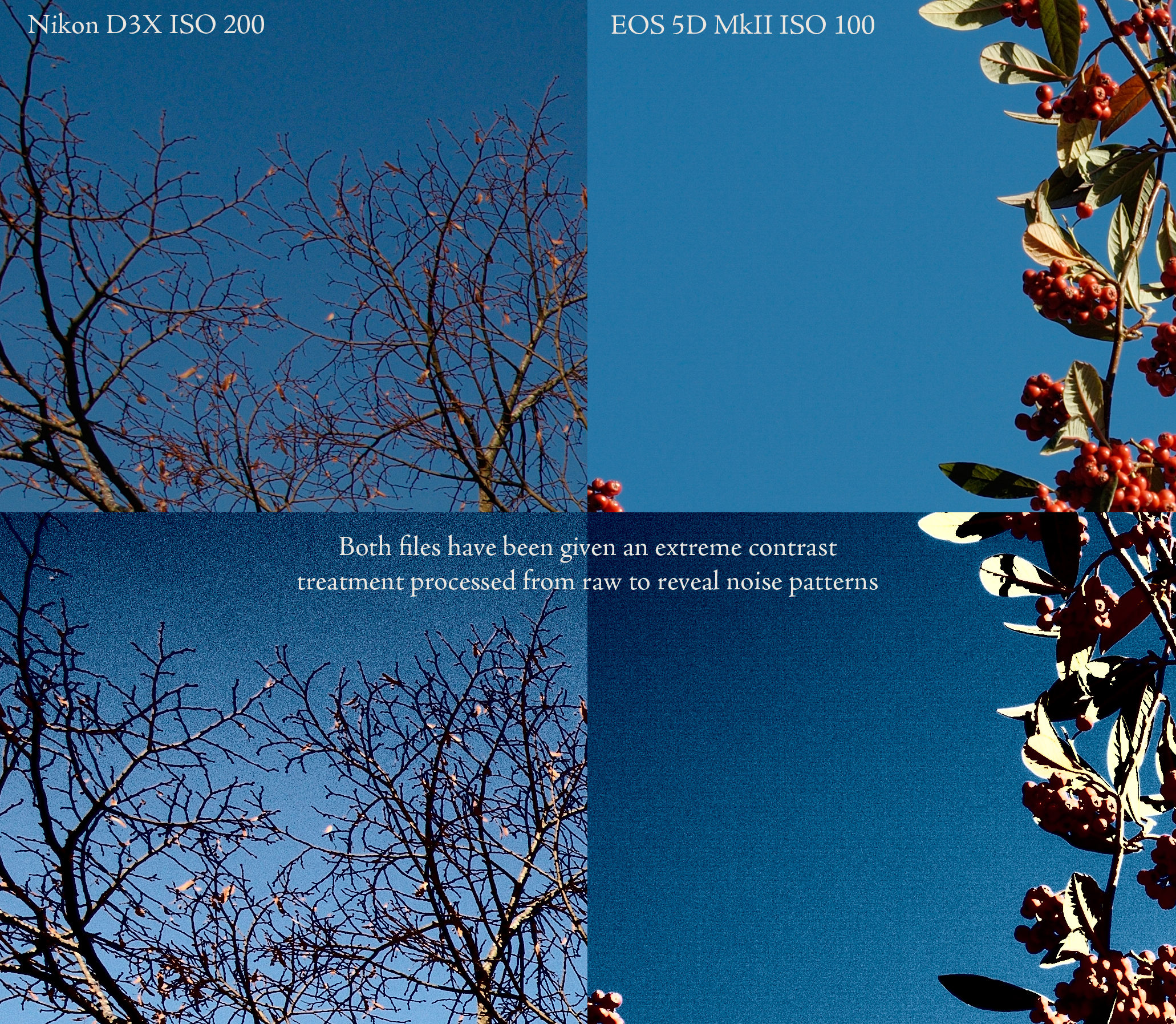 noisecomparison-web.jpg
