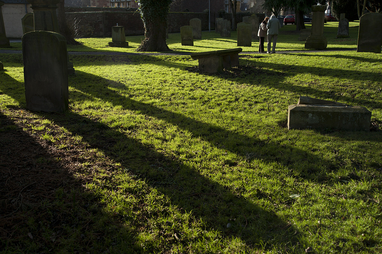 longshadows-jan09.jpg