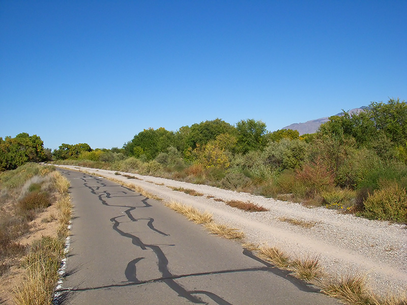 Day 1: Albuquerque (Bike Path)