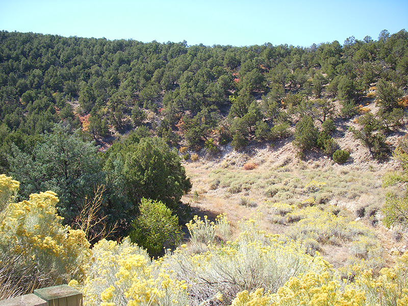 Day 3: Albuquerque East Metric Century