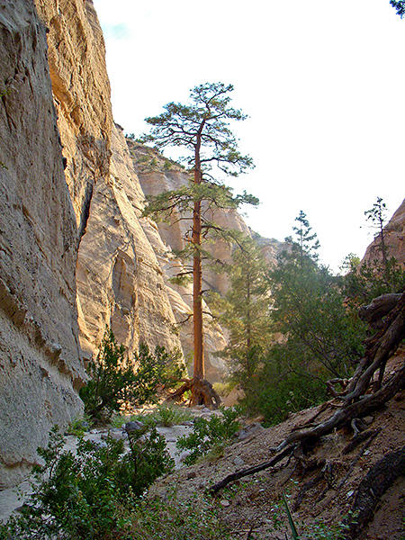 Day 4: Cochiti Lake  and Tent Rocks National Monument