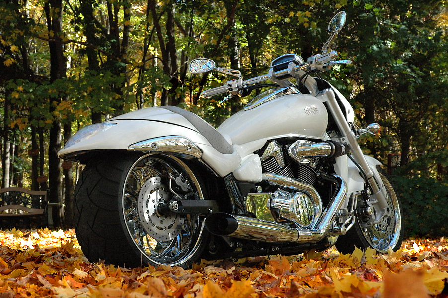 Don Julios Bike.jpg