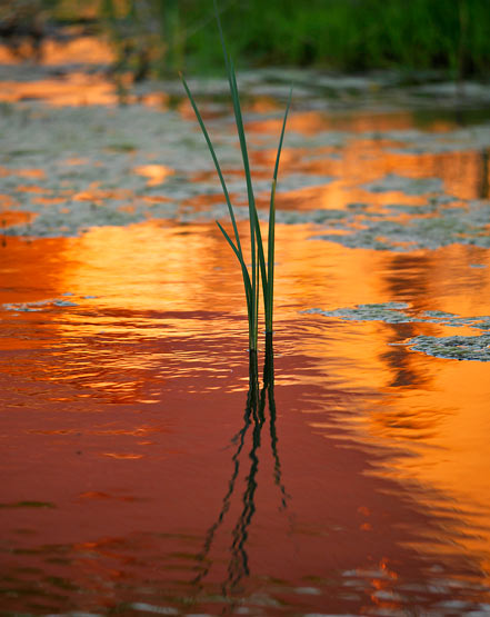 LE FEU AU LAC