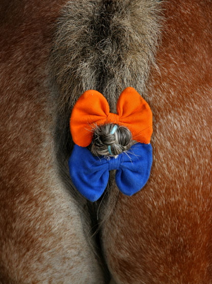 CUL DE CHEVAL