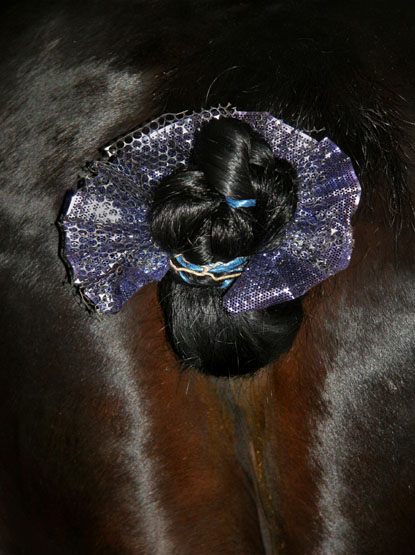 CUL DE CHEVAL