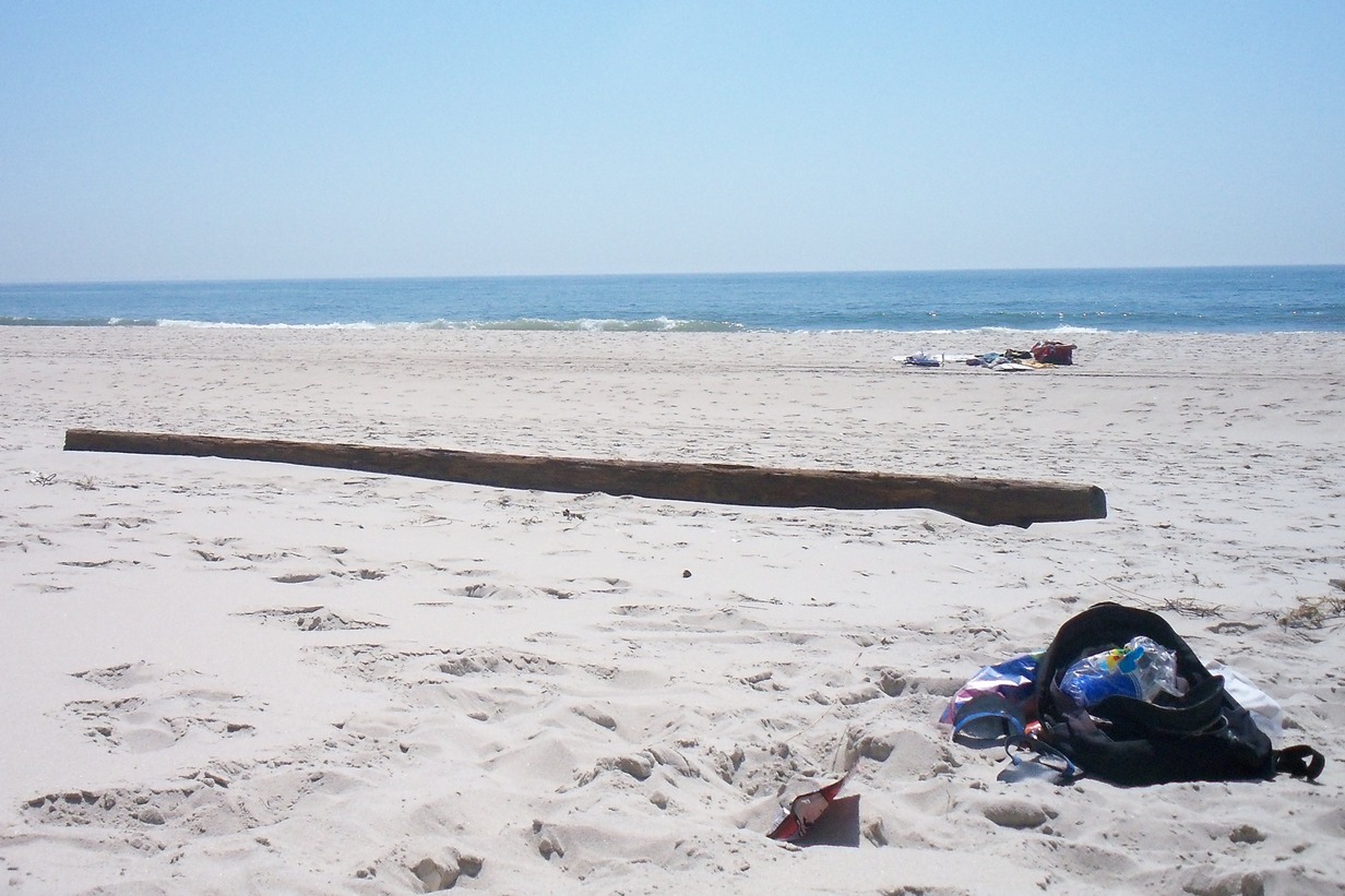 Robert Moses Beach