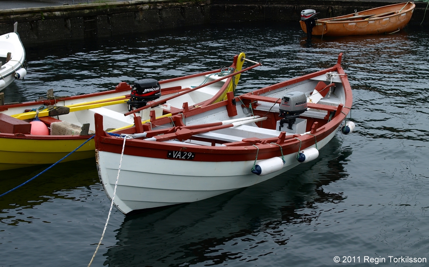 Elisabeth VA 29