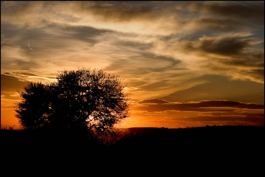Sunset in African Bushveld 1