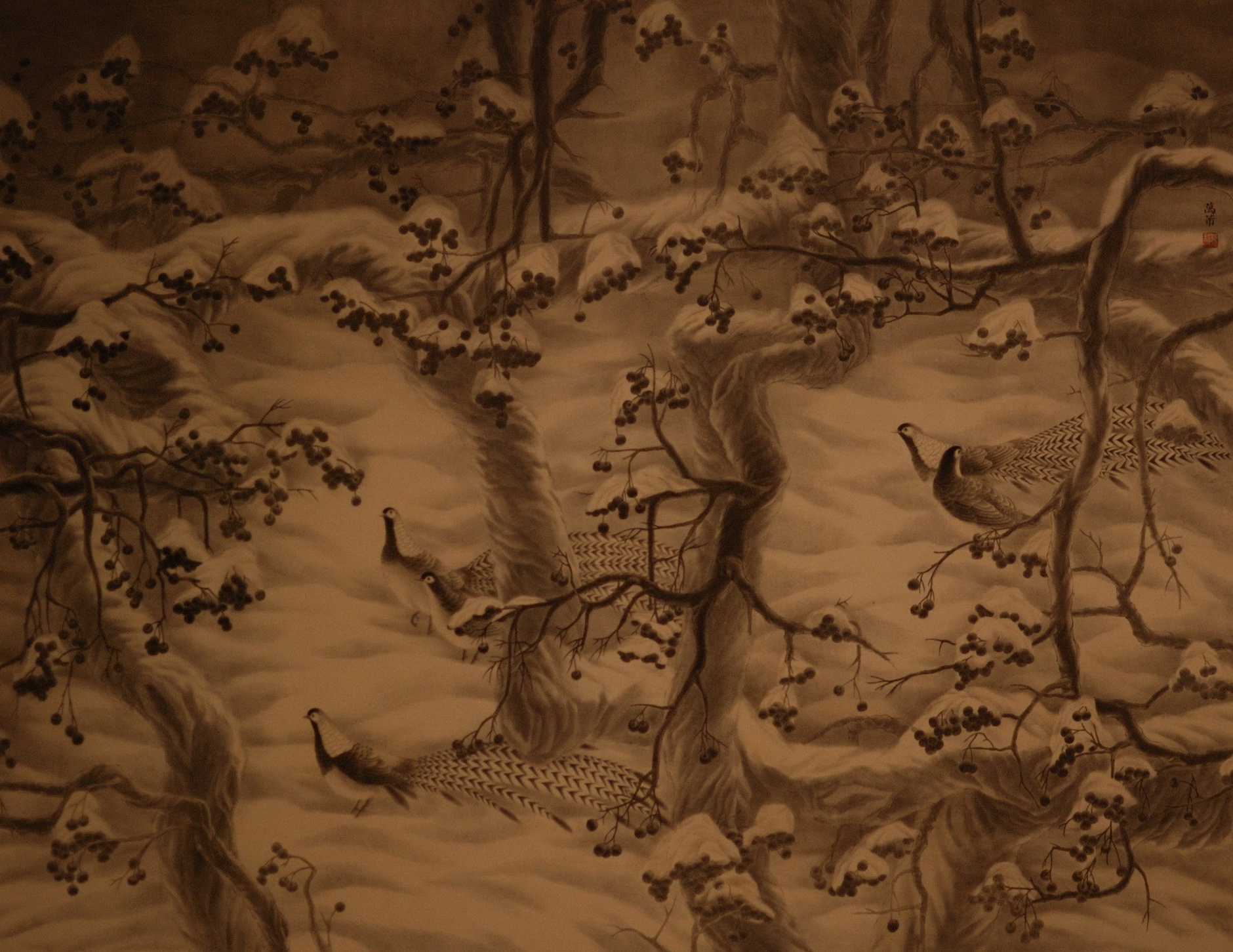 DSC_6095_resize_resize.jpg
