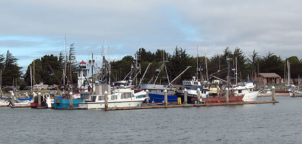 Trinidad, Calif., October 2008