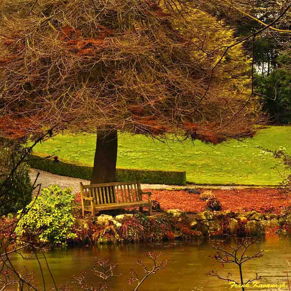 A Lonely Spring Bench.jpg