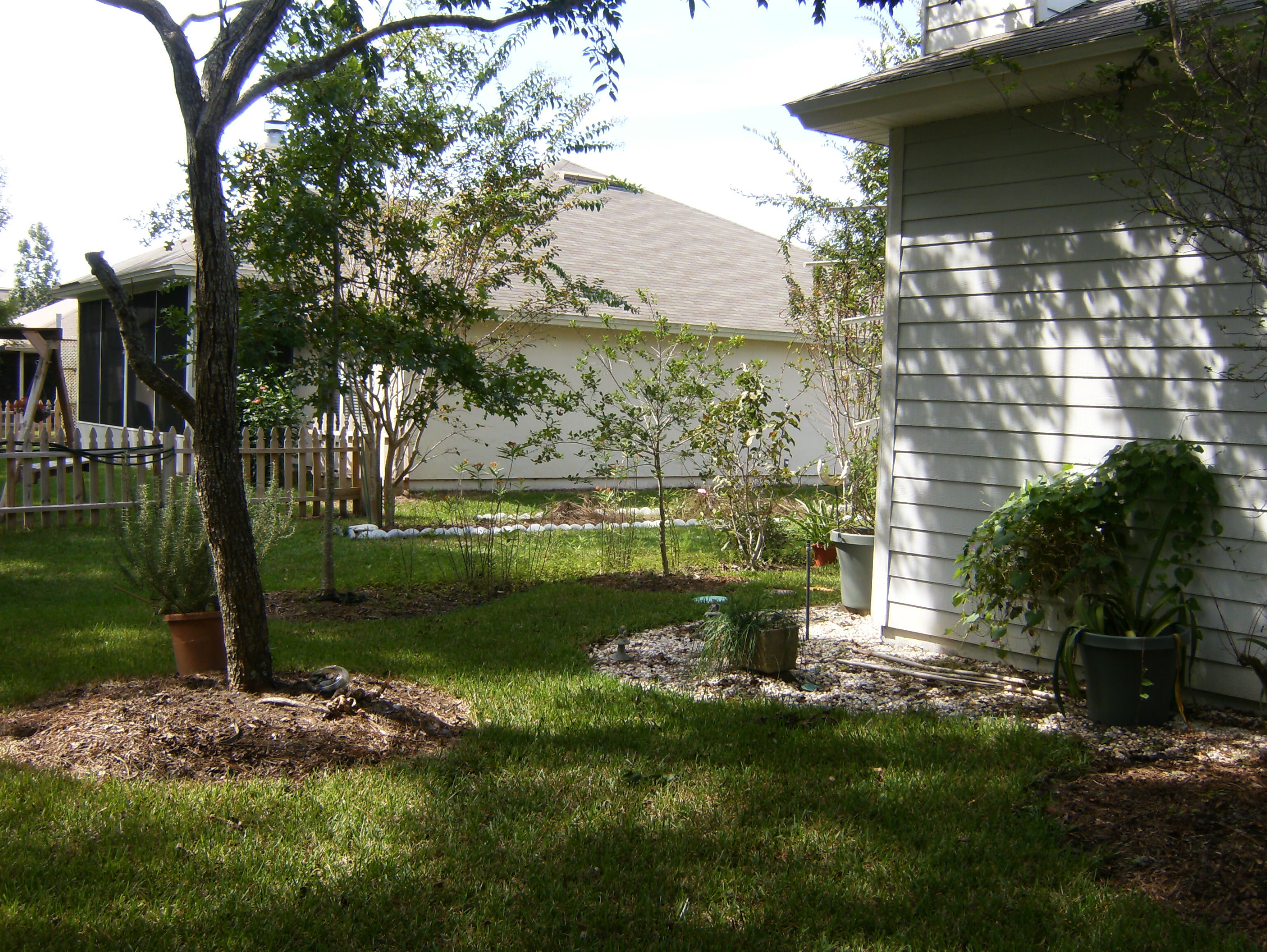 the other side of the back yard