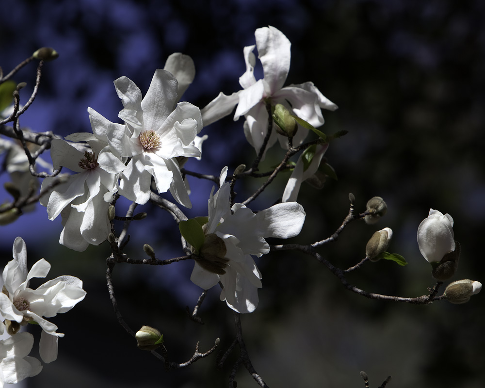 Spring Is On The Way!