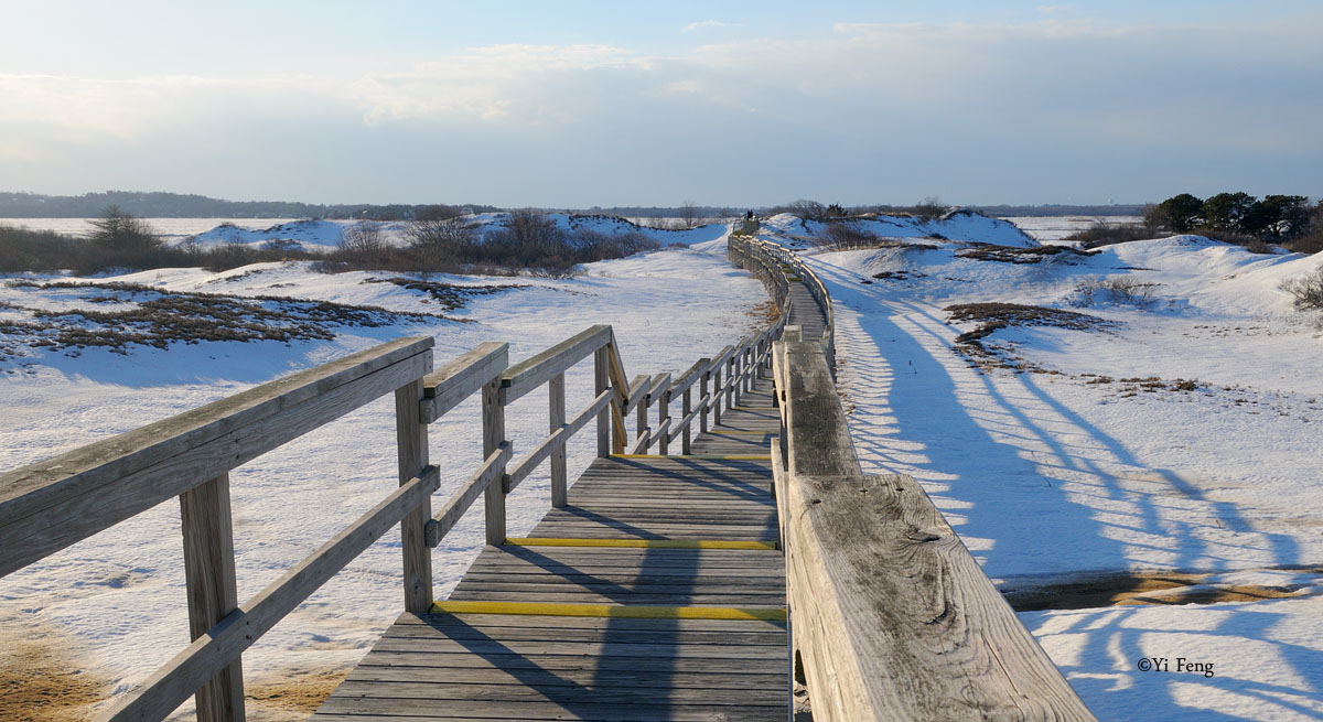110214_094.jpg