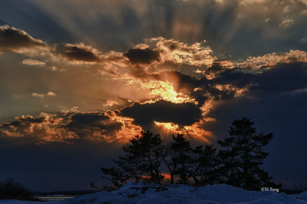 110214_240_4.jpg