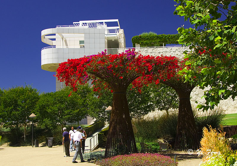 2007-7-19 Getty Ctr011.jpg