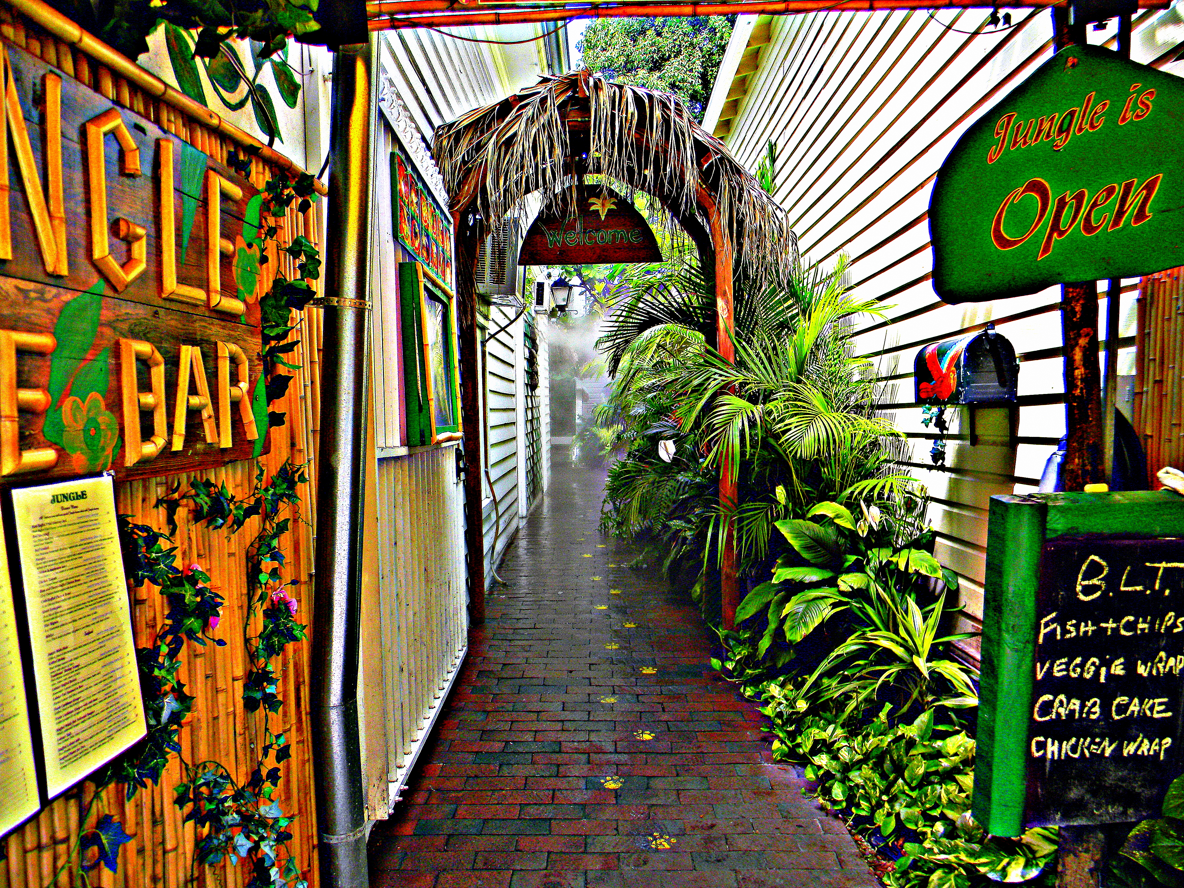 The Jungle