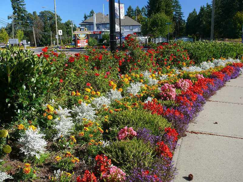 Flower Traffic circle Chemainus.jpg