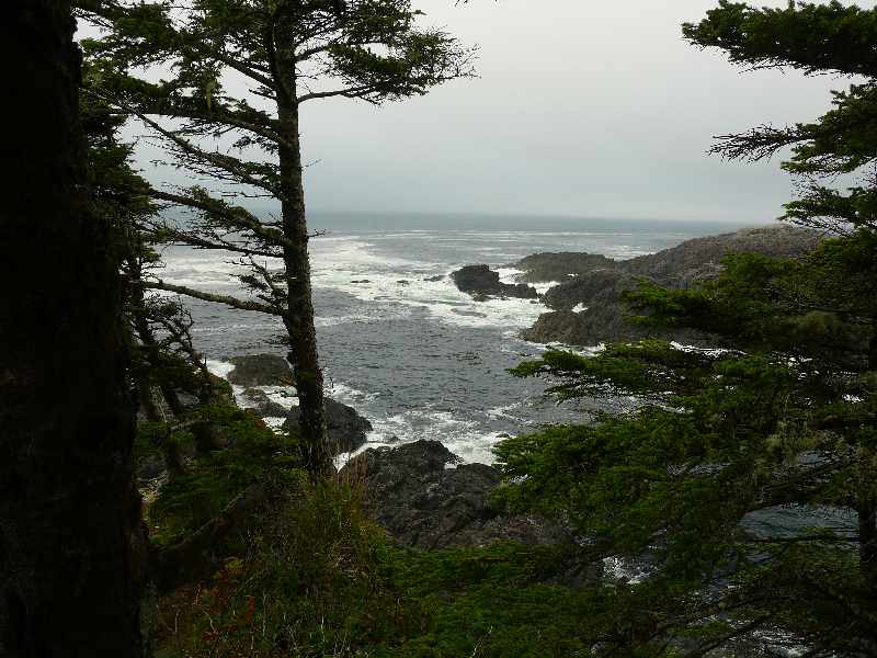 Foreshore Ucluelet.jpg