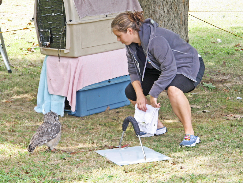 BirdPrey00015.JPG