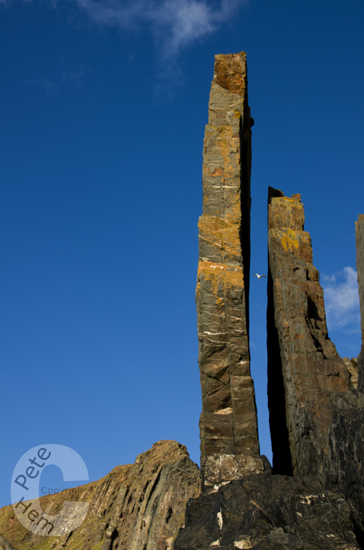 Towers and seagull - possibly known as Horn of plenty