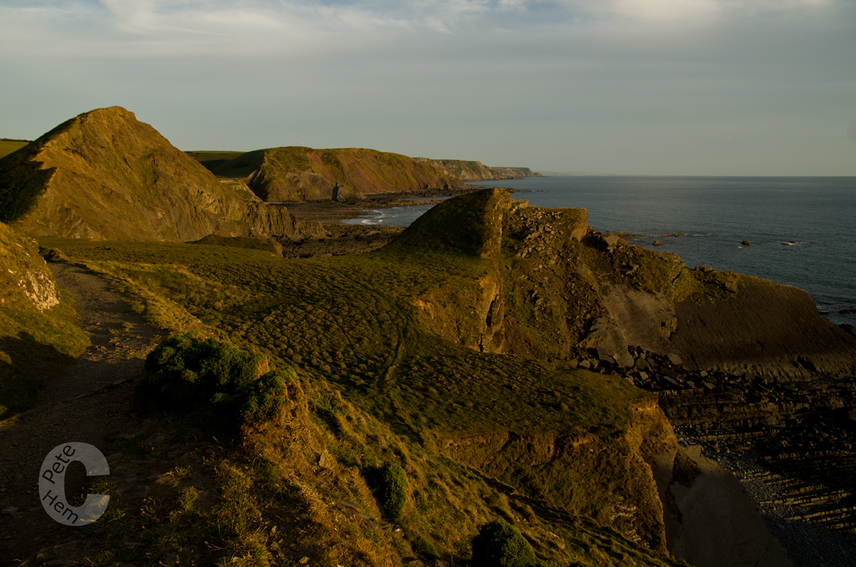 Evening light