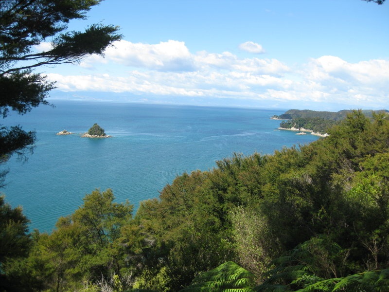 Abel Tasman N.P.