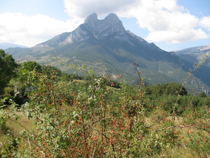 El Pedraforca