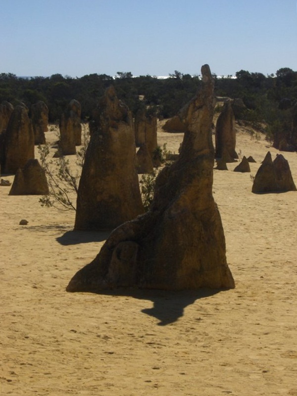 The Pinnacles.Kangaroo