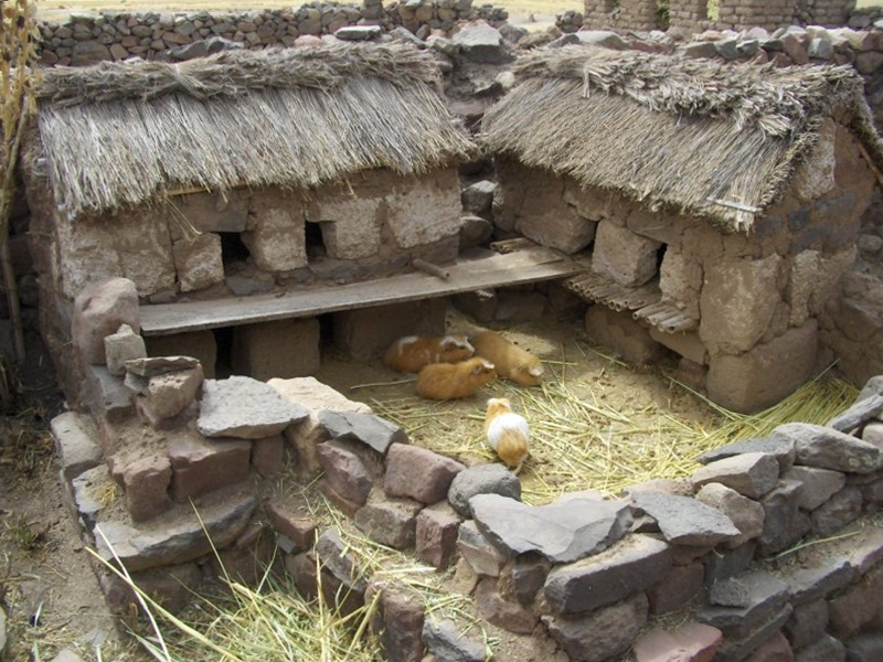 Vivienda Aymara