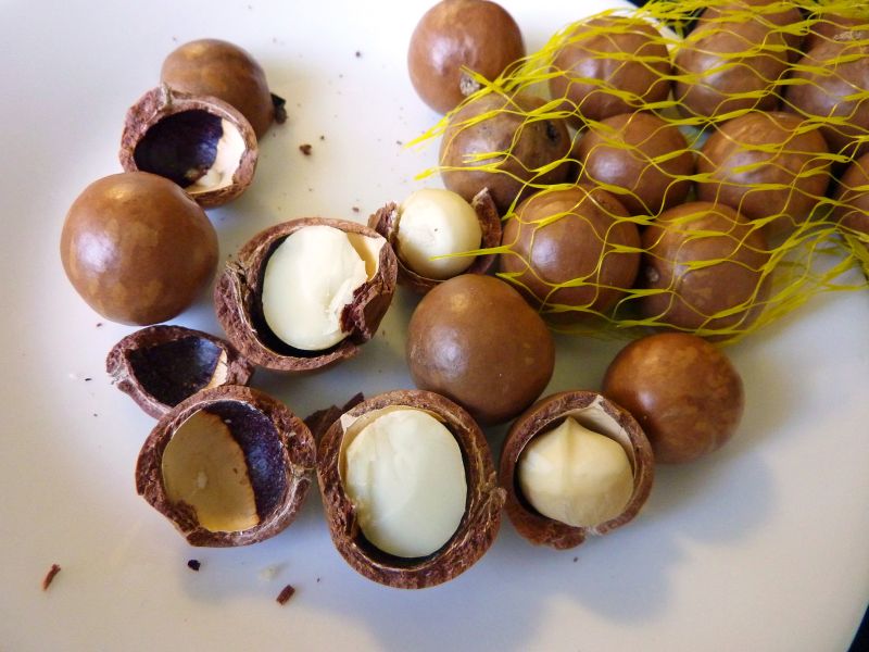 Macadamia Nuts