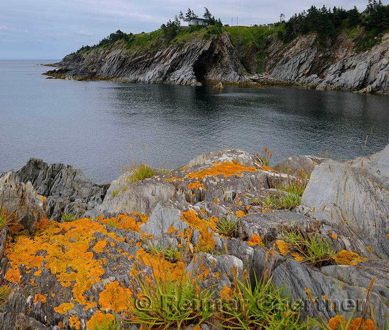Cave and orange lichen on sea cliffs at Smugglers Cove Provincial Park Nova Scotia
