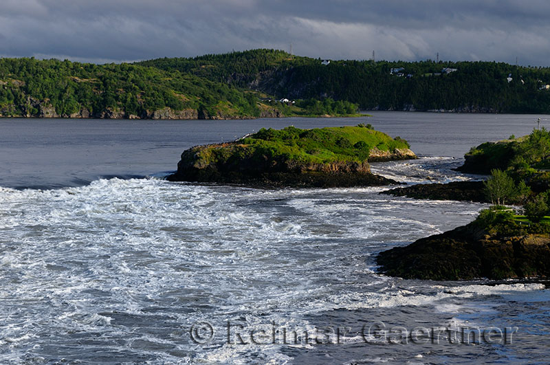 Reversing Falls at dawn in Saint John New Brunswick at Bay of Fundy low tide