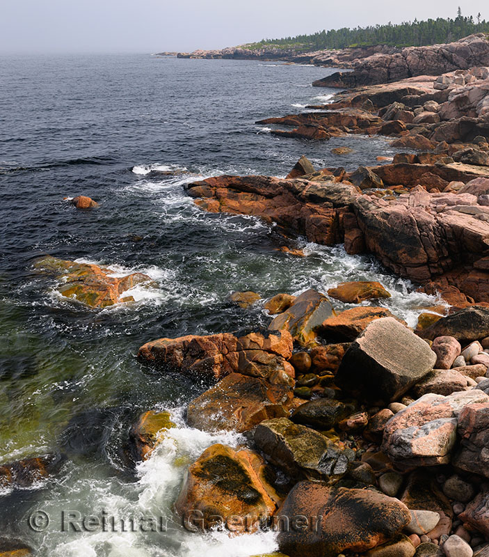 Rugged coastline at MacKinnons Cove in Cape Breton Highlands National Park