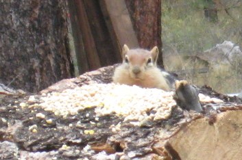 030 (2) - Copy.JPG